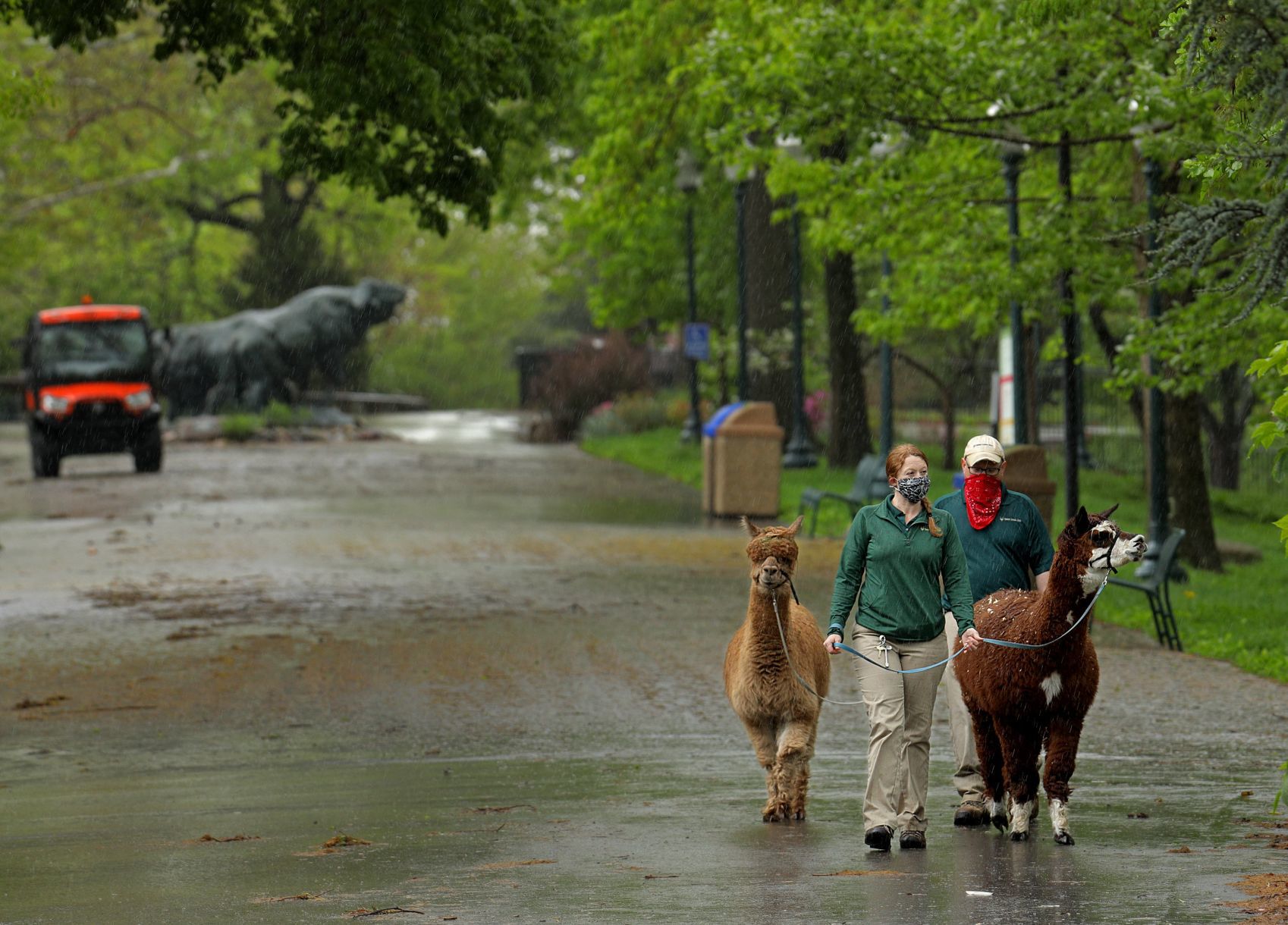 Most work continues at St. Louis Zoo despite coronavirus